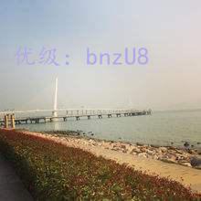 ˫