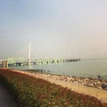 ˫